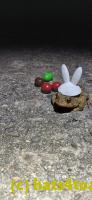 /home//u458753944/public_html/sourcegallery//Roxborough Toad Detour/2025/2025-04-19/20250419_210416.jpg